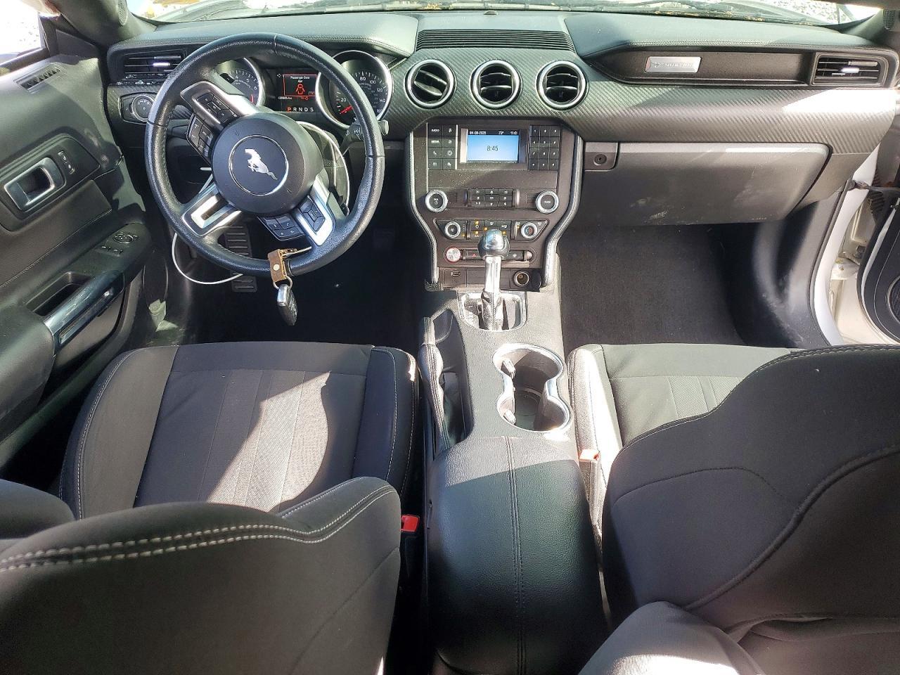 2019 FORD MUSTANG