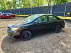 2012 Toyt Corolla