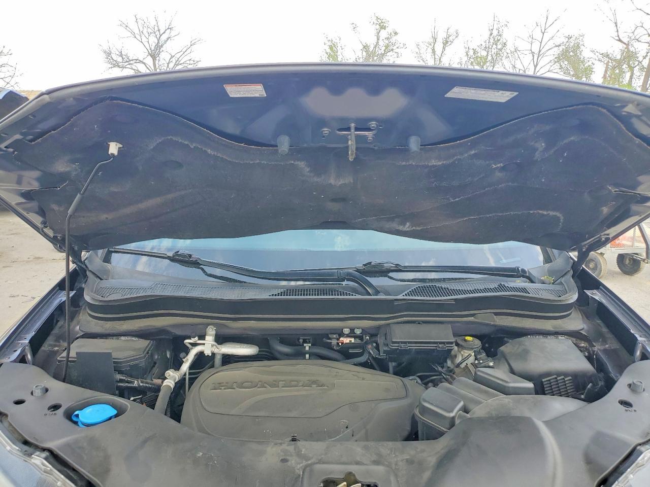 2021 HONDA Passport