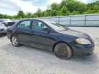 2006 TOYOTA COROLLA