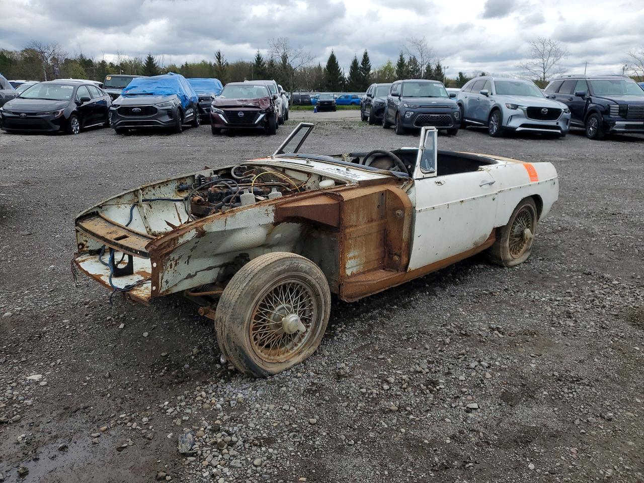 1973 Mg Mg