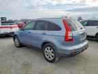 2007 HONDA CR-V