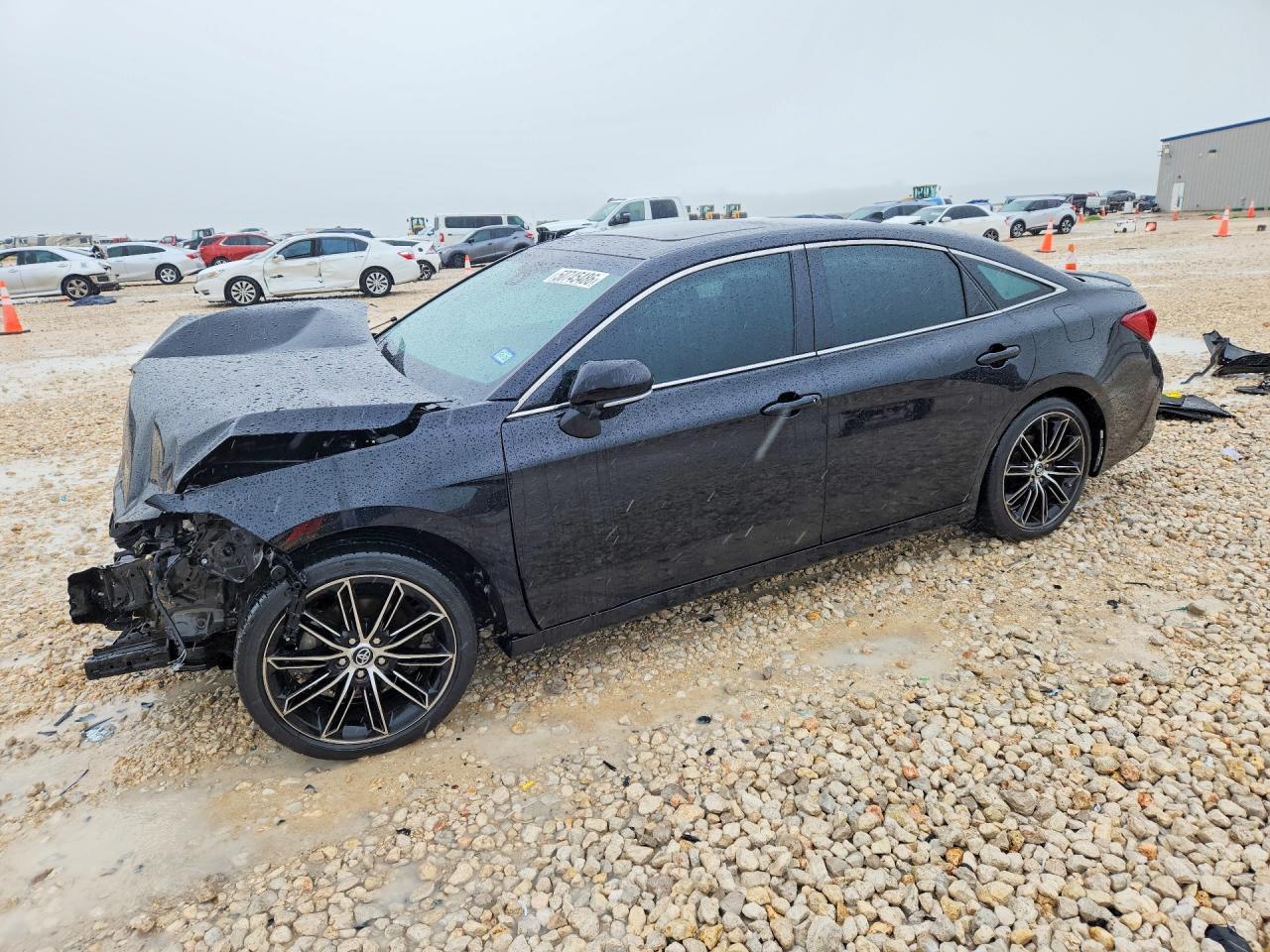2019 TOYOTA Avalon