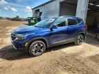 2025 KIA SELTOS