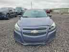 2013 CHEVROLET MALIBU