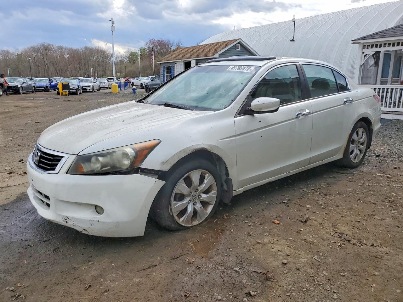 2008 HONDA ACCORD