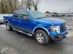 2009 FORD F-150 Lightning