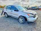 2010 HONDA CR-V
