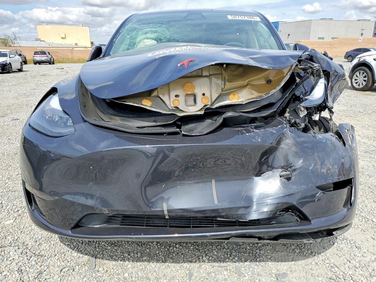 2024 TESLA MODEL Y