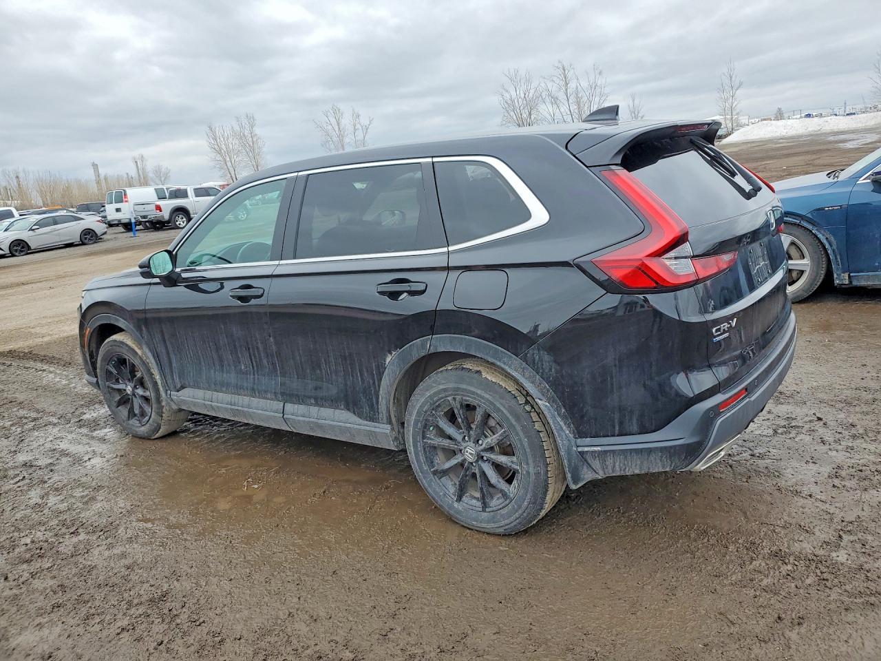 2025 HONDA CR-V