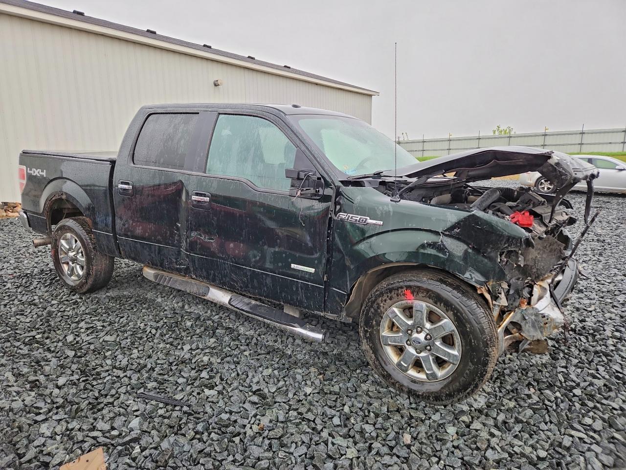 2013 FORD 1/2 Ton