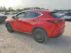 2024 LEXUS NX 250