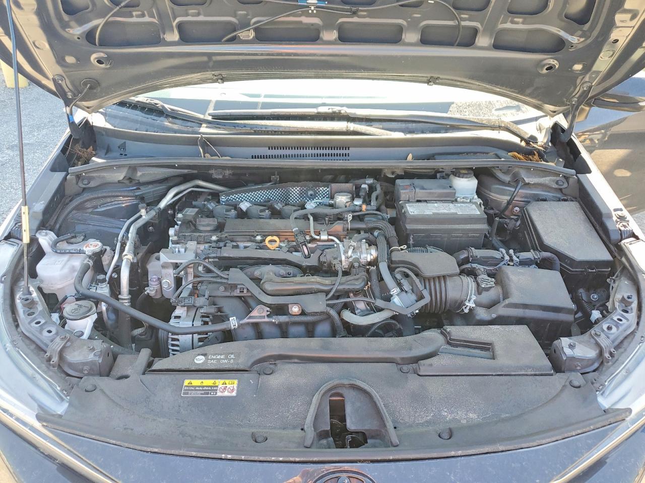 2023 TOYOTA COROLLA