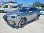 2019 LEXUS NX 300