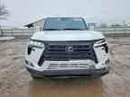 2024 LEXUS GX 550