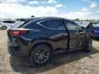 2024 LEXUS NX 250