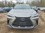 2024 LEXUS NX 350H