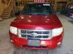 2009 FORD ESCAPE