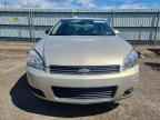 2009 CHEVROLET IMPALA
