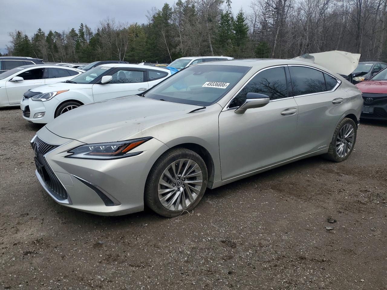 2019 LEXUS ES 300H