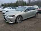 2019 LEXUS ES 300H