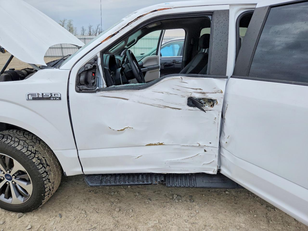 2019 FORD F-150 Lightning