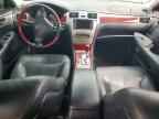 2006 LEXUS ES 330