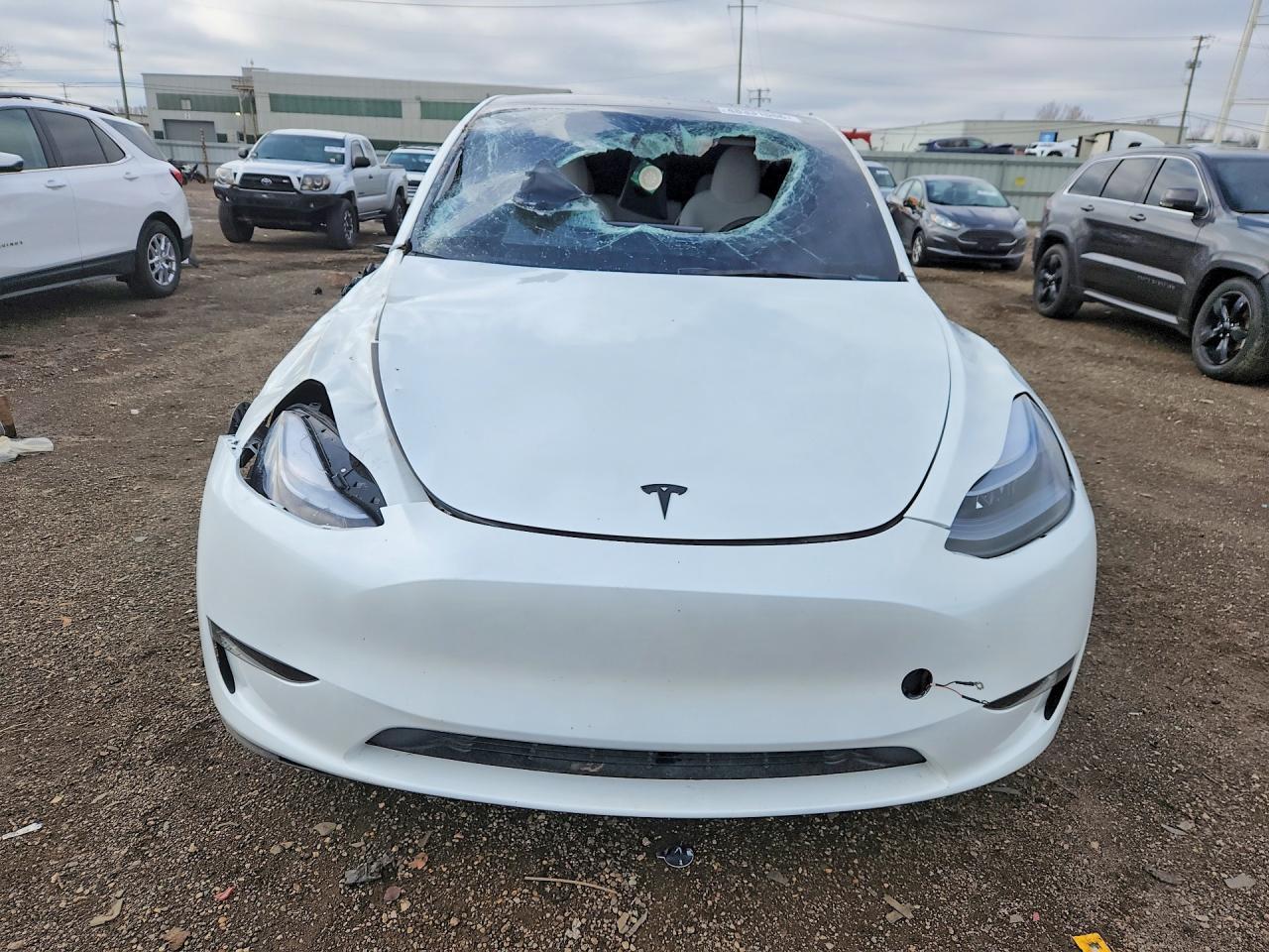 2025 TESLA MODEL Y