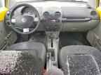 2002 VOLKSWAGEN Beetle