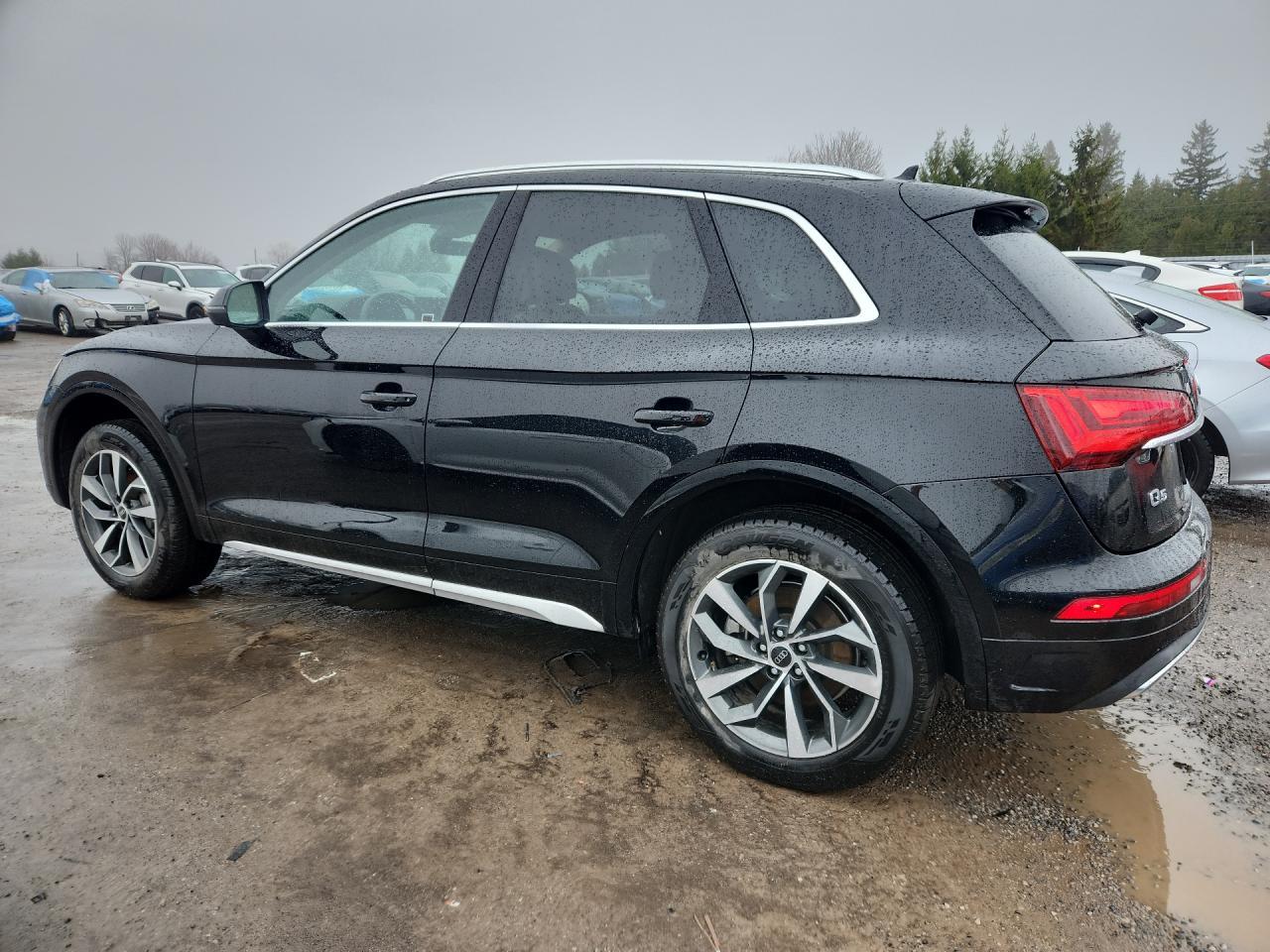 2025 AUDI Q5