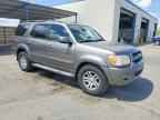 2007 TOYOTA Sequoia