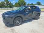 2025 LEXUS NX 250