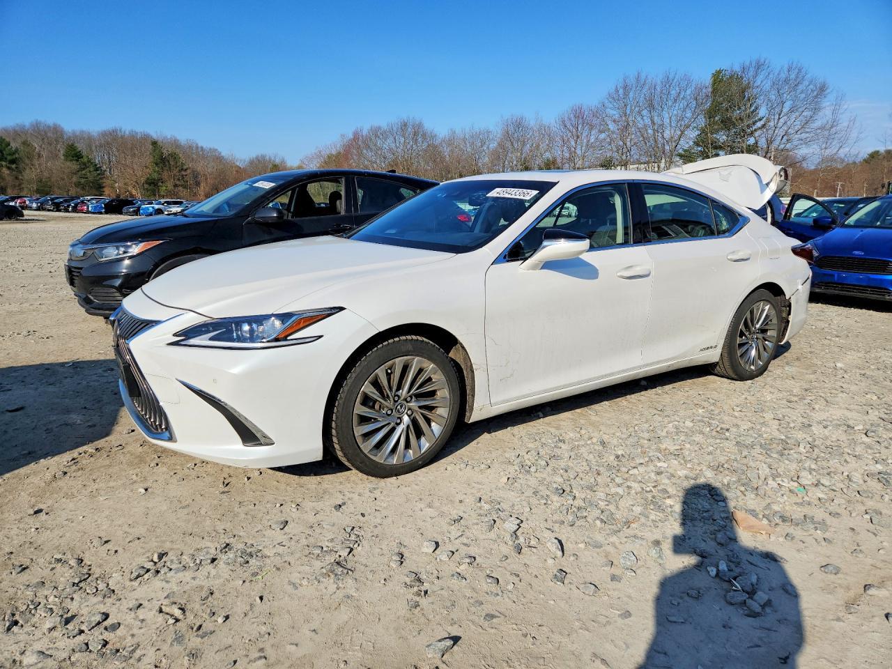 2019 LEXUS ES 300H