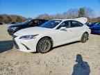 2019 LEXUS ES 300H