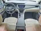 2025 CADILLAC XT5