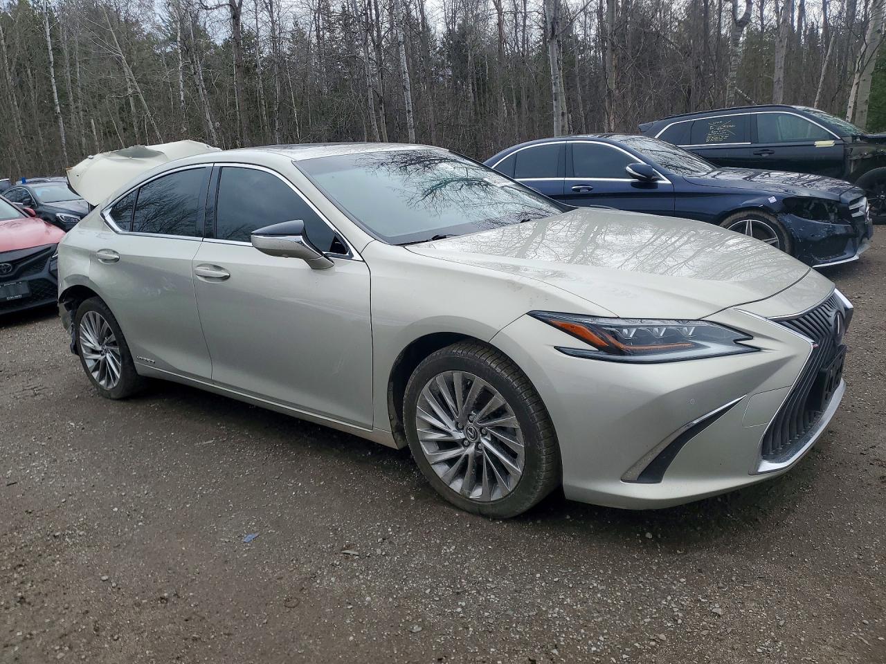 2019 LEXUS ES 300H