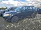 2009 Suba Forester