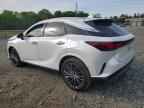2024 LEXUS RX 350