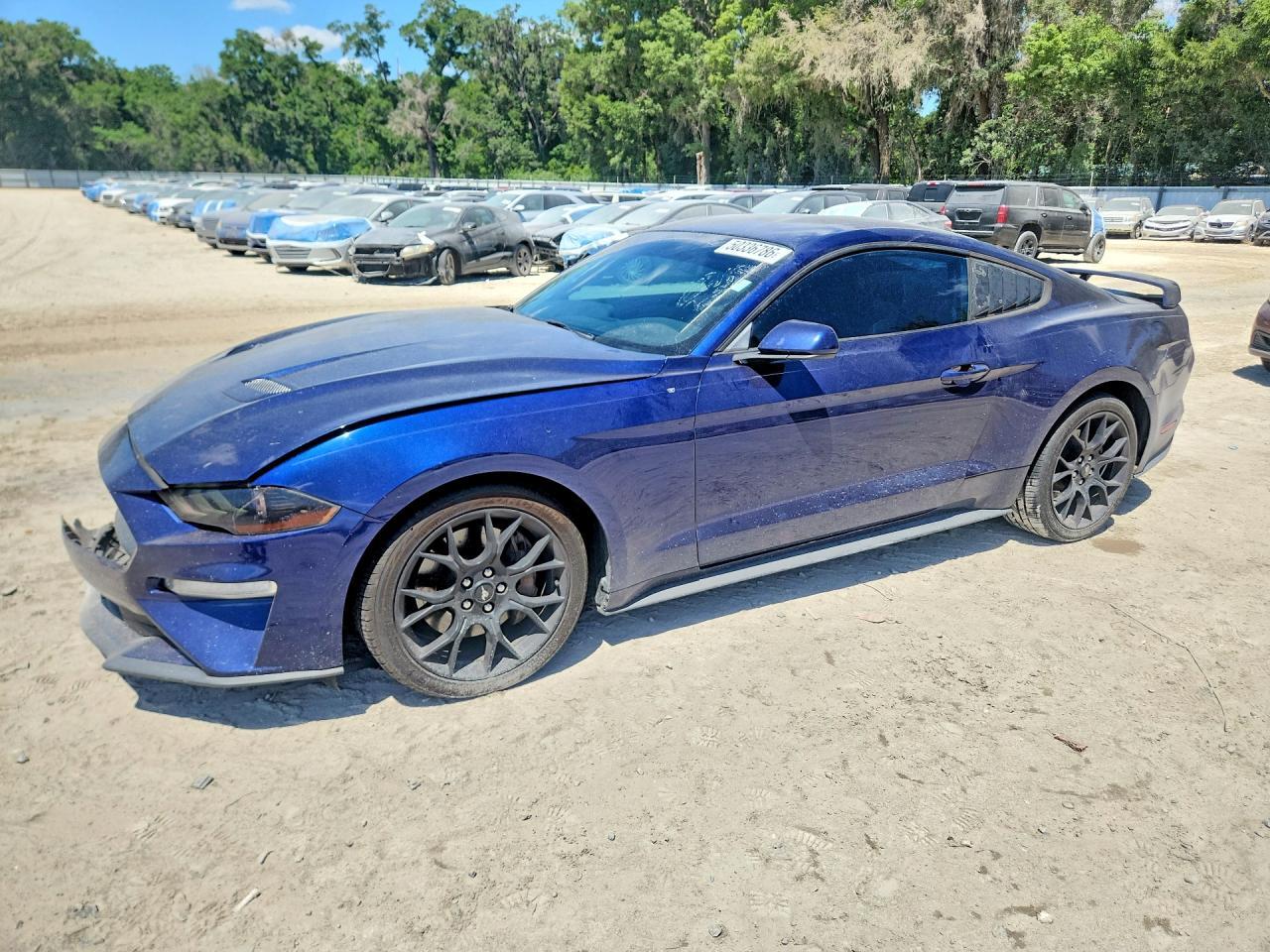 2019 FORD MUSTANG