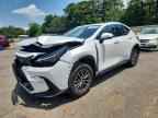 2023 LEXUS NX 250