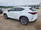 2026 LEXUS NX 350H