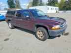 2004 DODGE Dakota