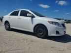 2009 TOYOTA COROLLA