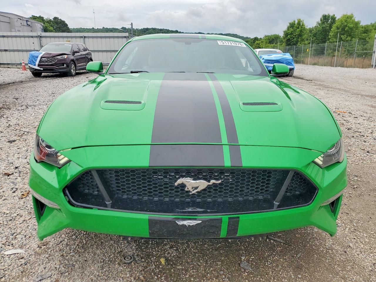 2019 FORD MUSTANG