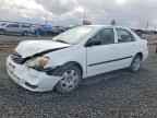 2003 Toyt Corolla