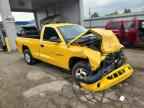 1999 DODGE Dakota