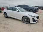 2024 CADILLAC CT5