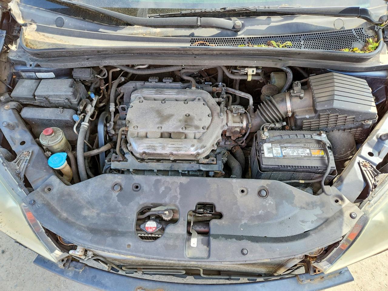 2010 HONDA ODYSSEY