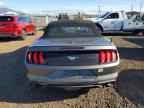 2023 FORD MUSTANG
