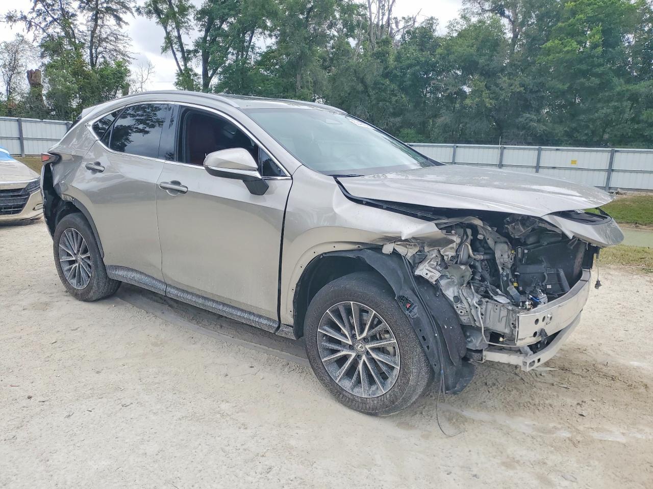 2024 LEXUS NX 350